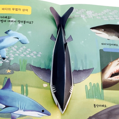 펀북 생태 [바닷 속의 생물]