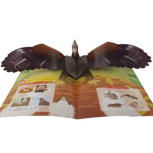 펀북 생태 [새들의 왕 독수리]