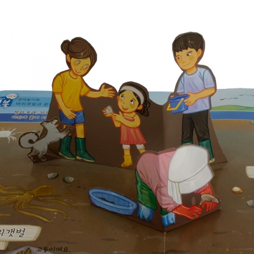 펀북 생태 [갯벌에서 보는 생물]