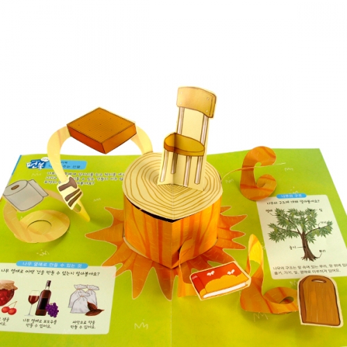 펀북 생태 [나무 박물관]