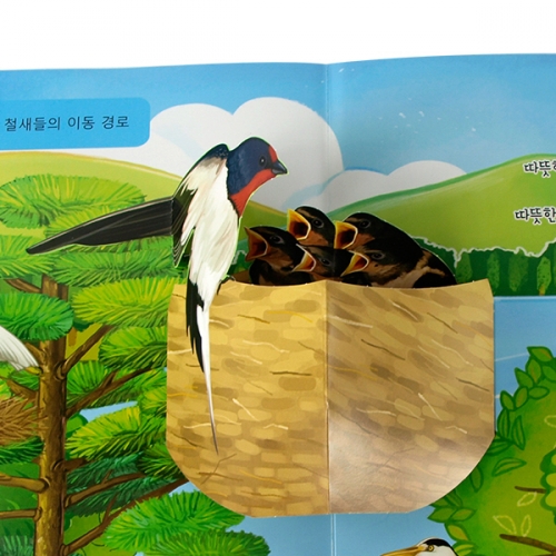 펀북 생태 [철새들의 이동 경로]