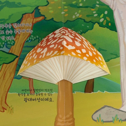 펀북 생태 [버섯 이야기]