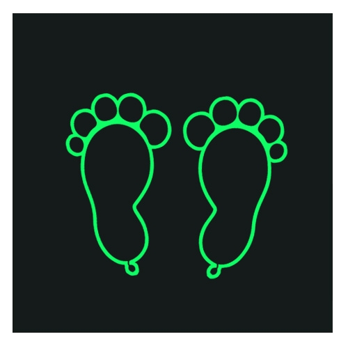 스티커몰 발바닥(5쌍) 동물1사자 F-159