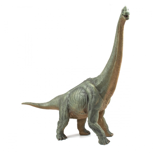 파포 브라이오사우르스