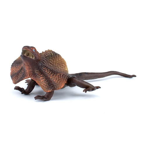 파포 목도리 도마뱀