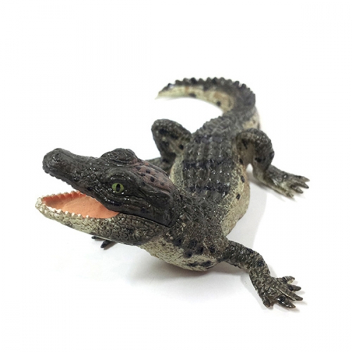 파포 아기 악어