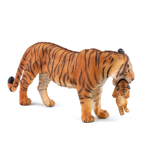 파포 아기호랑이와 엄마호랑이