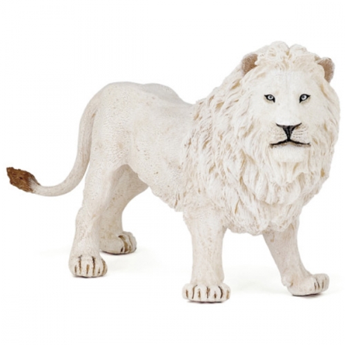 파포 흰 숫사자