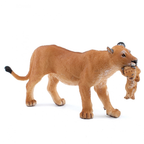 파포 아기사자와 엄마사자