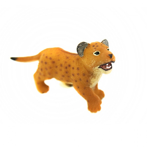 파포 아기 사자