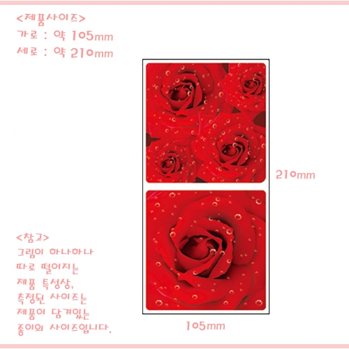 스티커몰 논슬립s(2매) 장미 17564
