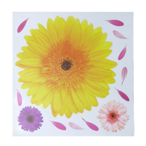 스티커몰 모던스티커 거베라 B1HI-6015L