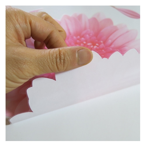 스티커몰 모던스티커 거베라 B1HI-6015L