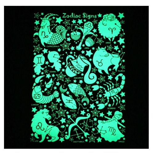 스티커몰 데코야광인테리어 별자리 FDS-21204