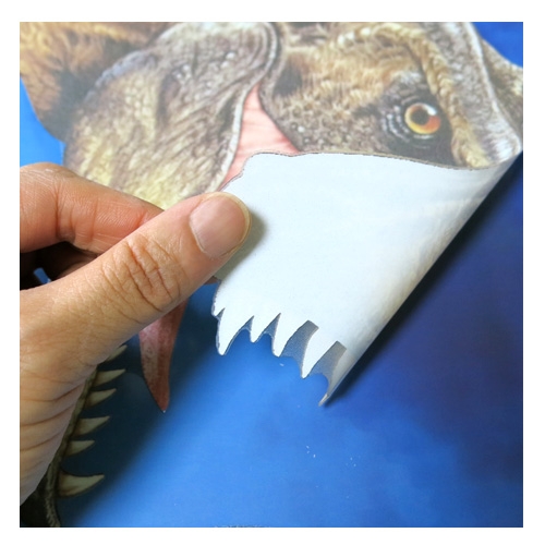 스티커몰 데코야광인테리어 리얼공룡시대2 FDS-21212