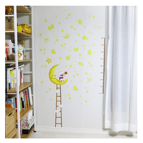 스티커몰 데코인테리어 나의_별자리 FDT-21005