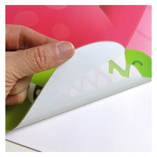 스티커몰 키재기 공룡나라친구들 FDT-6315