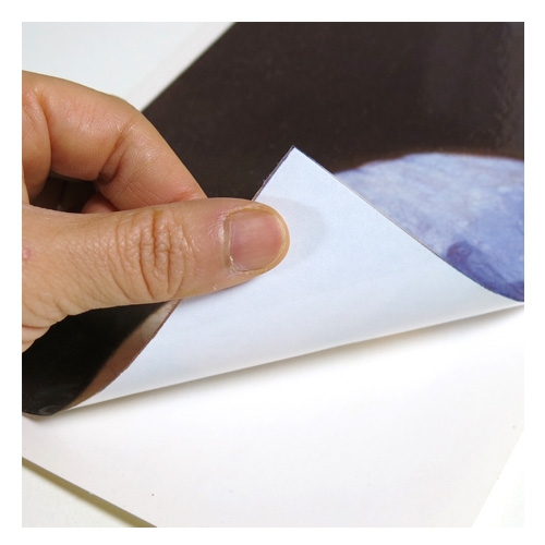 스티커몰 명화포인트 베르메르진주귀걸이 FM-16404