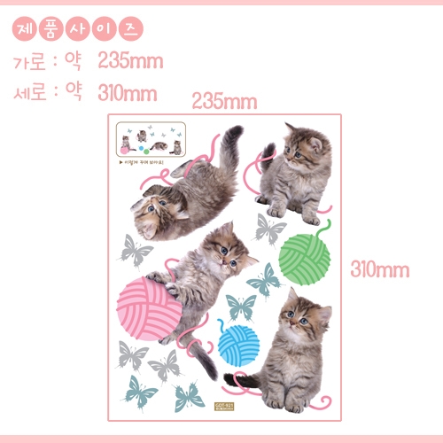 스티커몰 그래픽s 장난_고양이 GDT-921