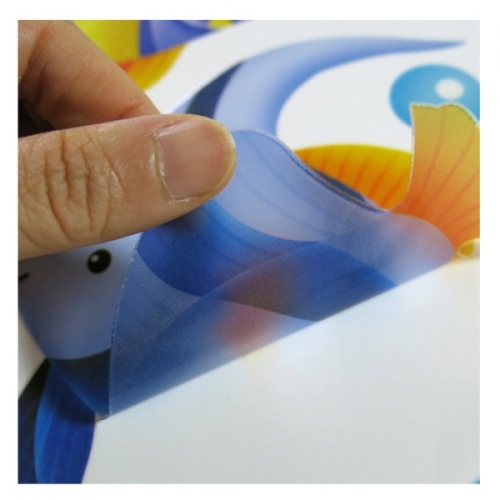 스티커몰 그래픽s 열대어친구들 GDT-955