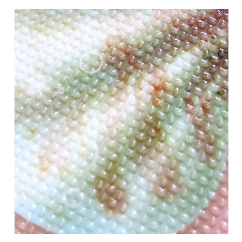 스티커몰 논슬립(6매) 소라조개2 NSF-32114