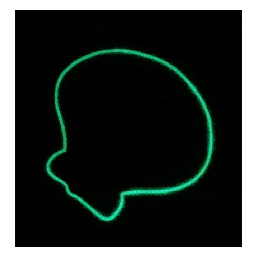 스티커몰 논슬립(6매) 소라조개2 NSF-32114