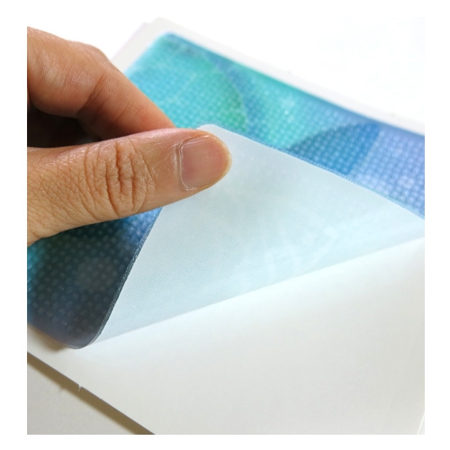 스티커몰 논슬립(6매) 바닷속친구들 NSF-32119