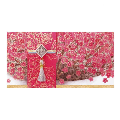 블라썸 돈봉투세트 FB211 (6종)