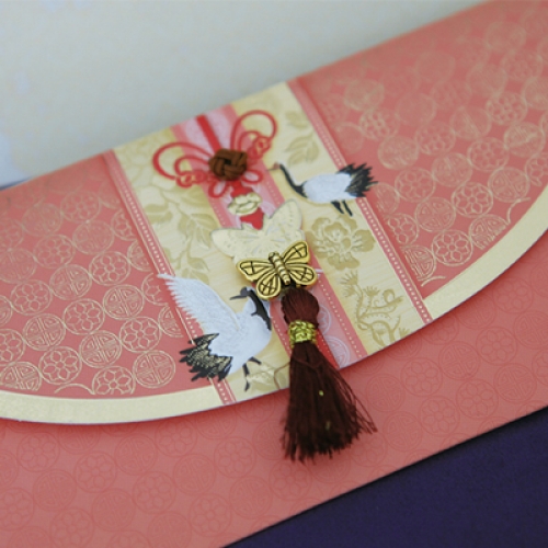 금나비수술 용돈봉투 FB216-1