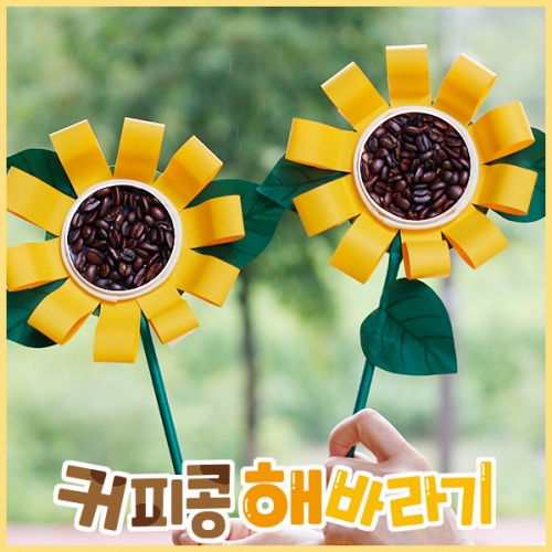 커피콩 해바라기 만들기