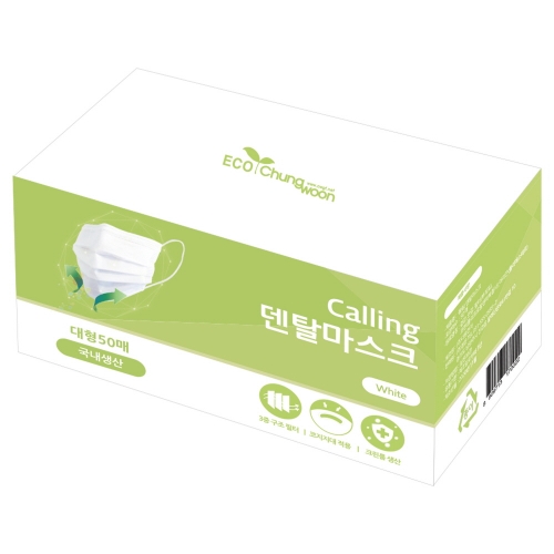 일반 덴탈 마스크 대형 50개입