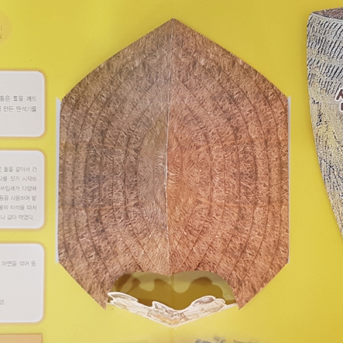 [이미경의팝업] DIY 팝업북 한국시대사 선사시대 움집