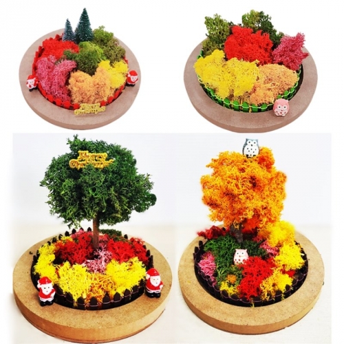 스칸디나비아모스 천연이끼 크리스마스 테라리움 만들기 세트