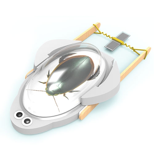 고무줄탄성 물방개 통통보트-(1인용)