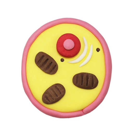 뉴 오물조물비누 동물세포구조모형 (10세트)