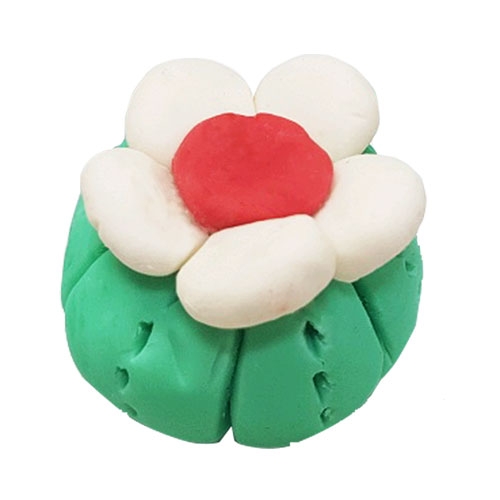 뉴 오물조물비누 선인장시리즈 파로디아(10인세트)