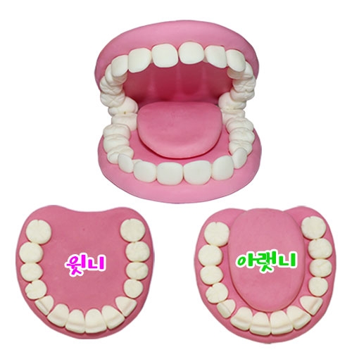 뉴 오물조물비누 치아모형(윗니,아랫니)_ 3세트