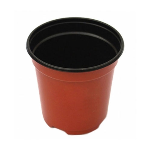 식물성장 관찰용 화분(4개)