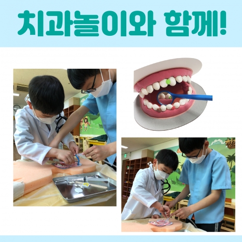 [키루]치카치카 하마 양치놀이(5인세트)