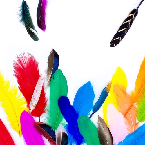 [만꾸] 깃털 세트