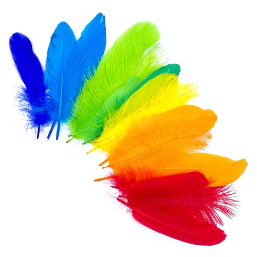 [만꾸] 깃털 세트