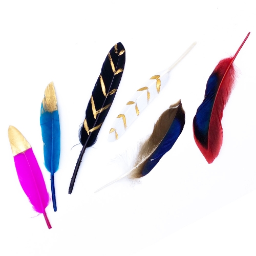 [만꾸] 깃털 세트