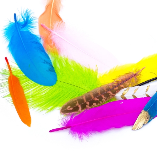 [만꾸] 깃털 세트