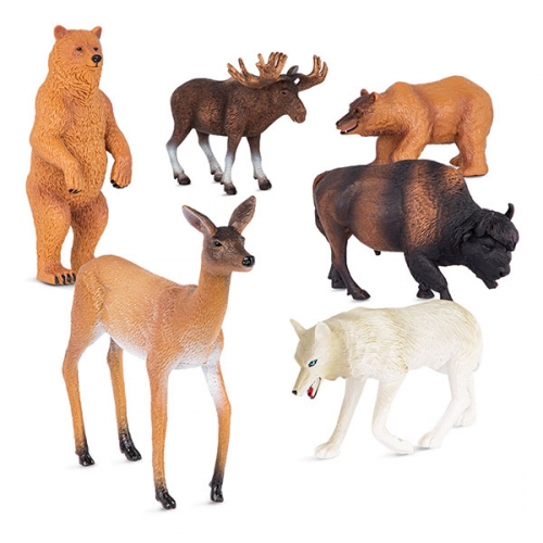 테라 북아메리칸 정글 앨범 6p