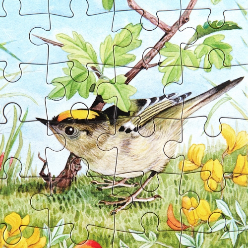 [퍼즐]이부 버섯우산 36피스 미니 / 3세이상