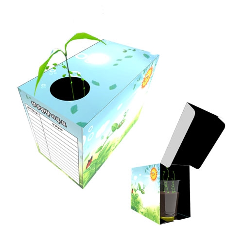 뉴 빛을 따라 자라는 식물관찰화분(5인용)