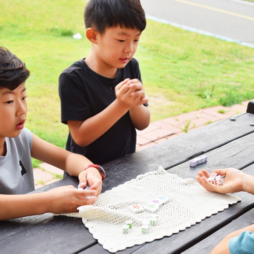 [보드게임]플레쉬