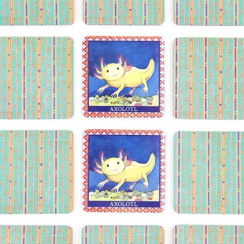 [보드게임]이부 내추럴 사이언스 메모리게임