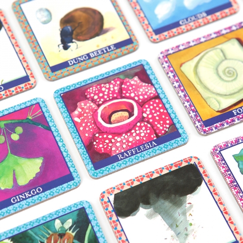 [보드게임]이부 내추럴 사이언스 메모리게임