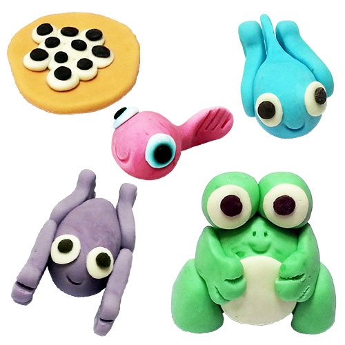 뉴 오물조물비누 개구리의 한살이_개구리